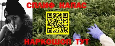 сатива Аша
